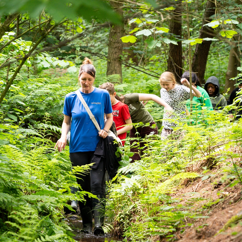 jo-lineham-explorers-stream-walk